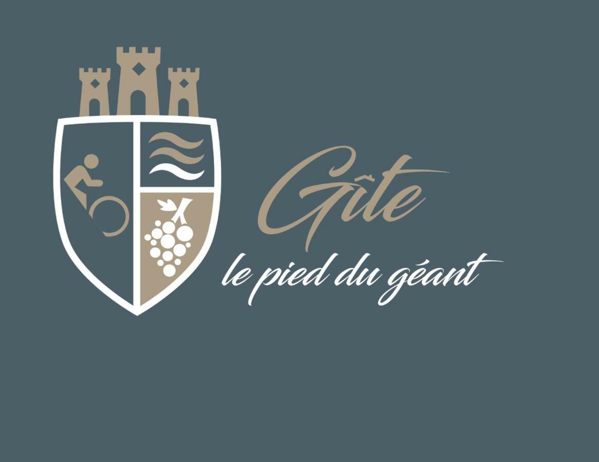 Gite Le Pied Du Geant - Local Securise Pour Les Velos 투르농쉬르론 외부 사진